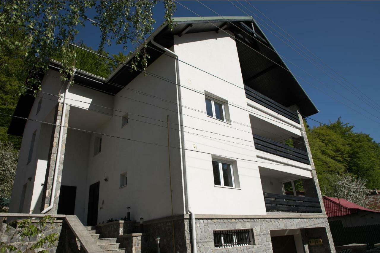 Studio 35 Buşteni Esterno foto